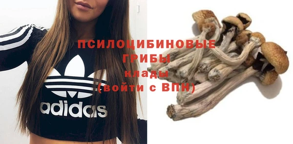ALPHA-PVP Алексин