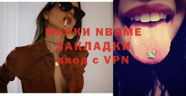 стаф Алзамай