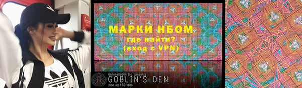 стаф Алзамай
