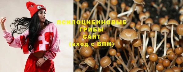 стаф Алзамай
