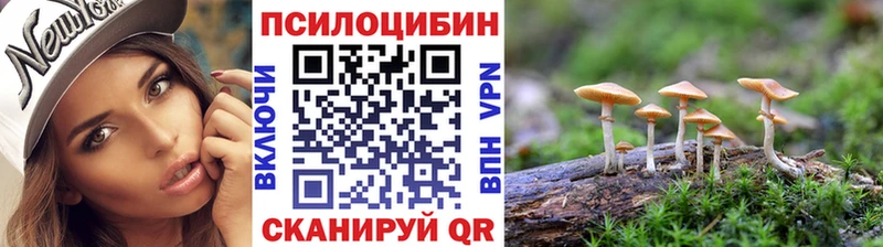 Галлюциногенные грибы мицелий как найти Ардатов